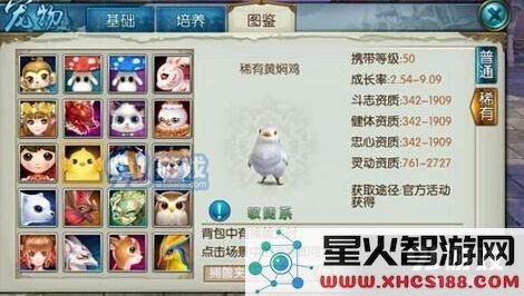 诛仙手游稀有黄焖鸡技能属性详细评测分析 是否值得投入资源进行培养