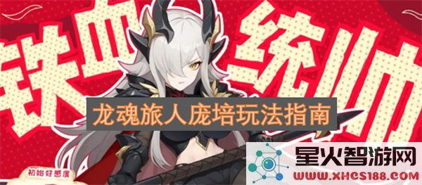 龙魂旅人庞培玩法指南