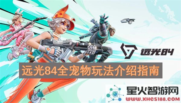 远光84全宠物玩法介绍指南