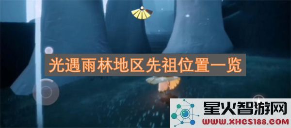 光遇雨林地区先祖位置一览