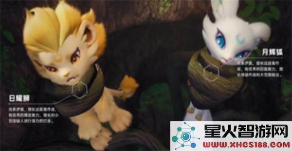 伊莫日辉狮月辉狐选择推荐指南