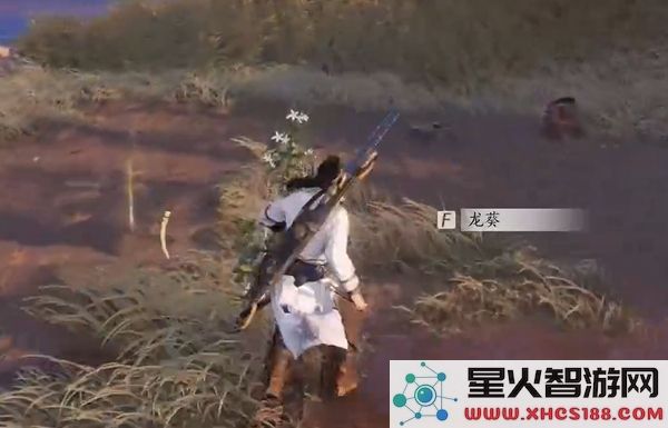 如何获得燕云十六声中的杏花不见_获取燕云十六声杏花不见的详细方法和途径