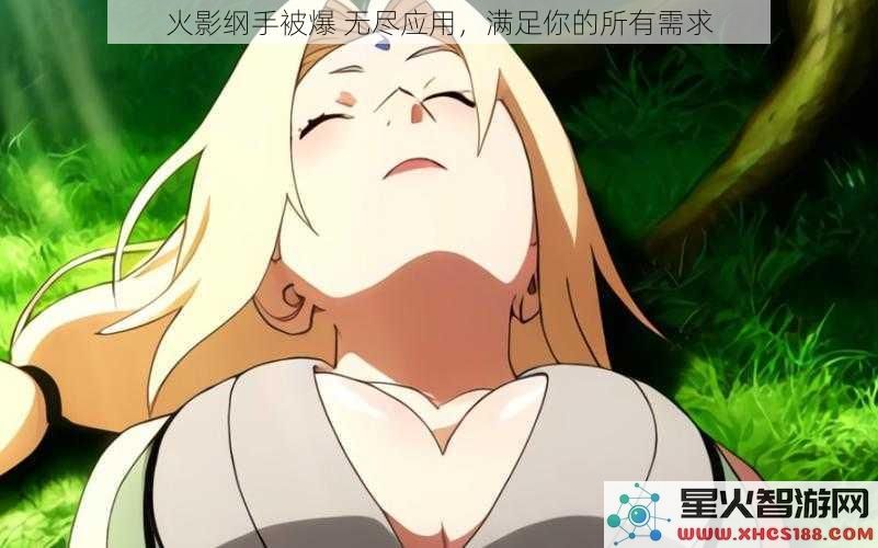 火影纲手被爆无尽应用，满足你的所有需求
