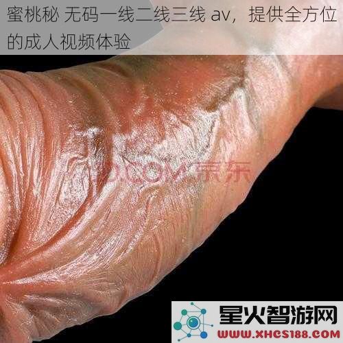 蜜桃秘无码一线二线三线av，提供全方位的成人视频体验