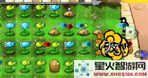 植物大战僵尸e版支线正式版最新下载地址_植物大战僵尸e版支线正式版手机版v1.3.4获取
