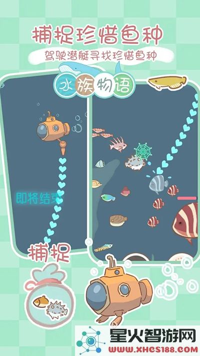 水族物语最新官网版下载_水族物语中文版V5.73游戏资源获取
