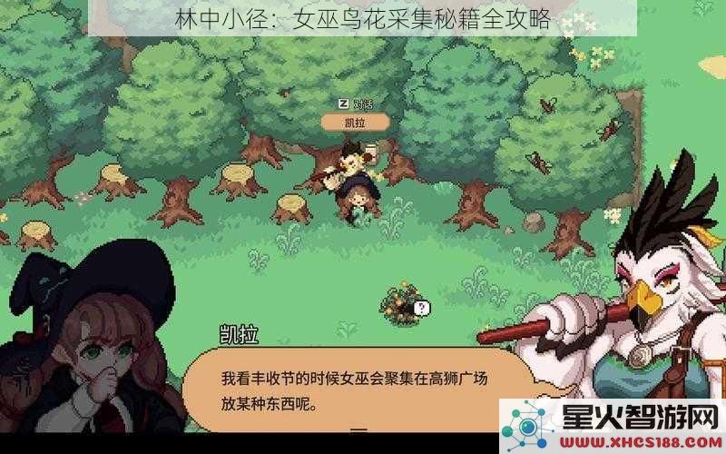 林中小径：女巫鸟花采集秘籍全攻略