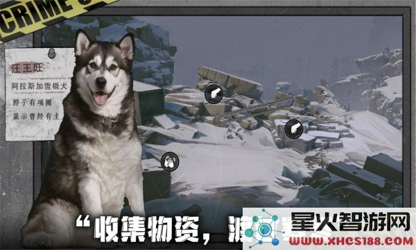 我在末日捡垃圾完整版安卓手机下载_我在末日捡垃圾金钱无限制使用下载v2.0.1