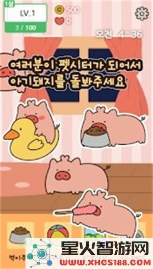 口袋宠物猪免广告全新游戏版下载_口袋宠物猪最新版v1.0精彩体验