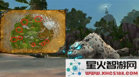 魔兽猎人灵魂兽魔兽猎人灵魂兽都有哪些