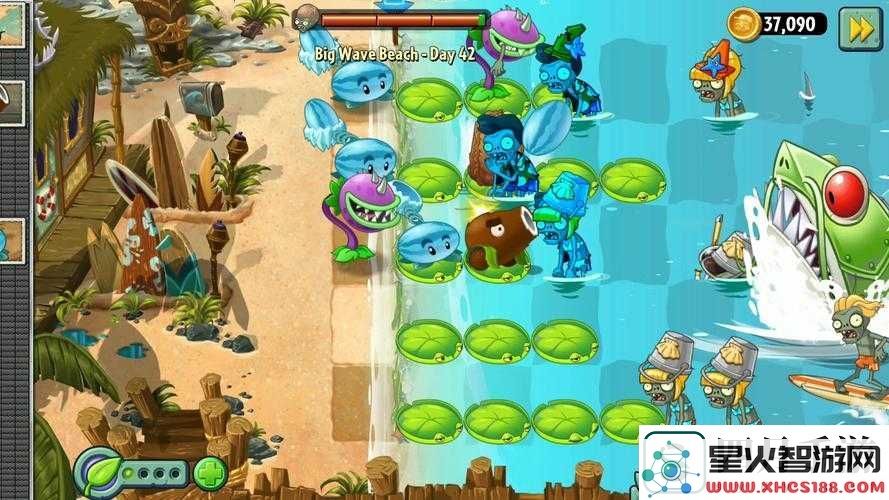 植物大战僵尸2海滩世界第8关通关秘籍！手残党看哭后狂赞稳了