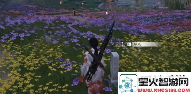燕云十六声花海无颜奇遇任务如何通关