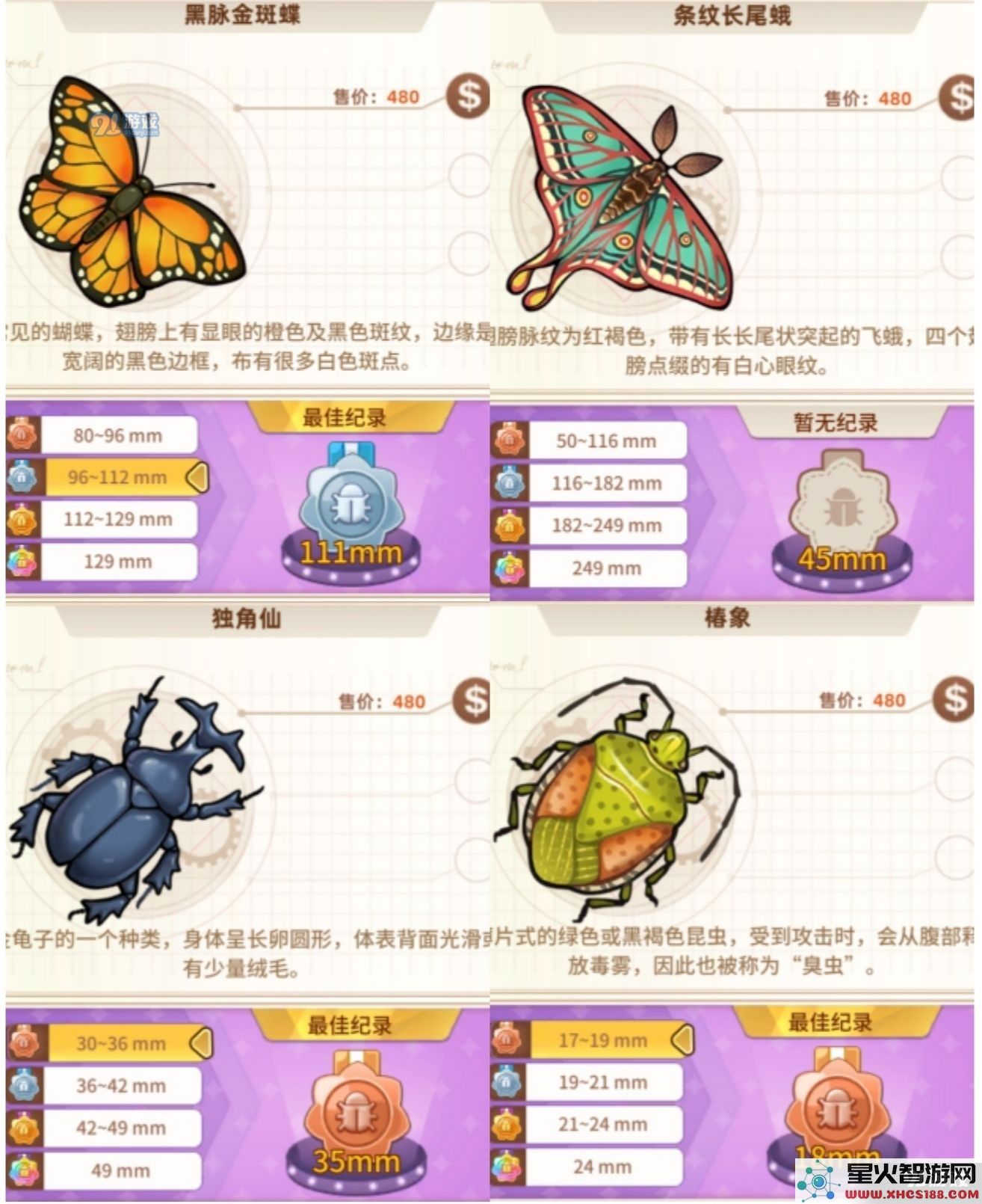 悠长假期手游昆虫图鉴大全 1星-5星昆虫图鉴汇总