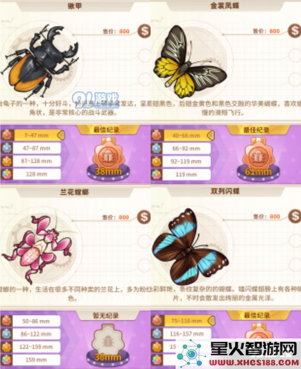 悠长假期手游昆虫图鉴大全 1星-5星昆虫图鉴汇总