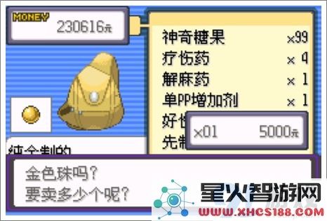 口袋妖怪漆黑的魅影