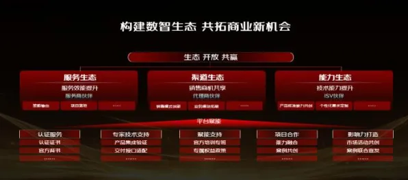 《双十一消消乐》2025全球首发！服务器架构开发者专访