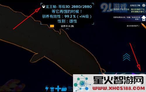 方舟生存进化静心膏使用