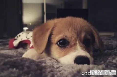 2025游戏AI突破丨欢乐斗地主如何实现智能队友系统？性能对比评测