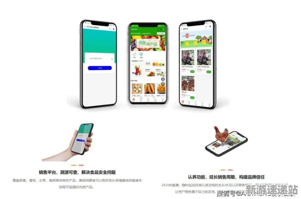2025最新动态»农场小镇智能队友系统，开发者专访速看！