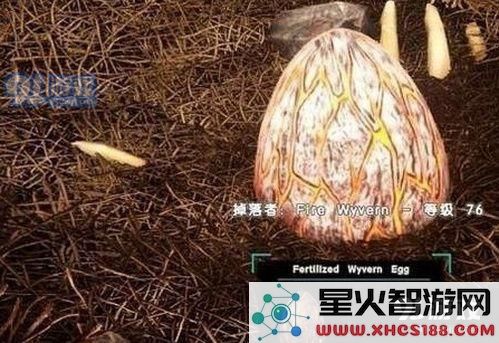 方舟生存进化手游怎么抓火龙 方舟生存进化火龙驯服技巧攻略