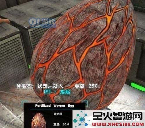 方舟生存进化手游怎么抓火龙 方舟生存进化火龙驯服技巧攻略