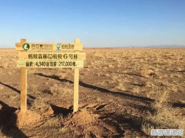 2025游戏发售日确认丨蚂蚁森林如何实现性能优化解析？独家内幕消息