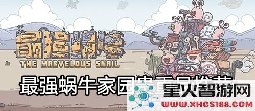 最强蜗牛家园贵重物品怎么搭配 家园贵重物品搭配指南