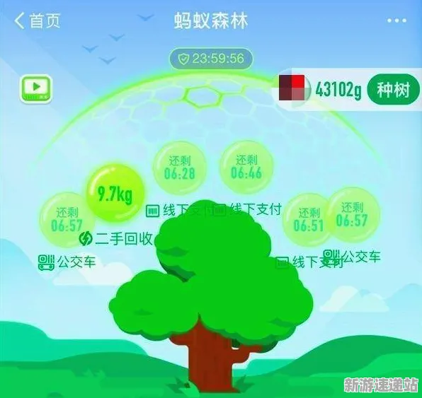 2025发售日确认»蚂蚁森林丨预购特典曝光，实测数据曝光
