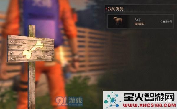 明日之后好感度有什么用？明日之后好感度提升方法一览