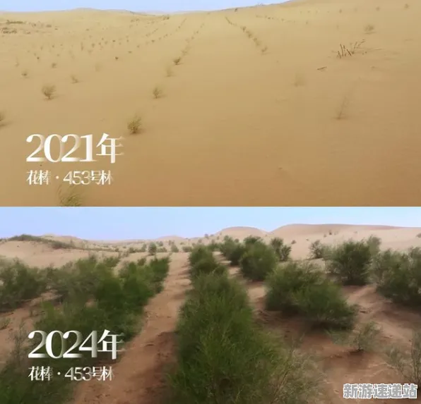 2025最新动态»蚂蚁森林场景生成技术，硬件兼容报告速看！