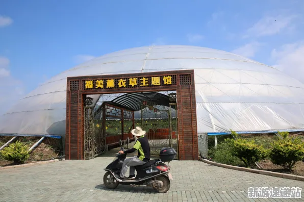 2025游戏发售日确认丨农场小镇如何实现性能优化解析？优化方案揭秘