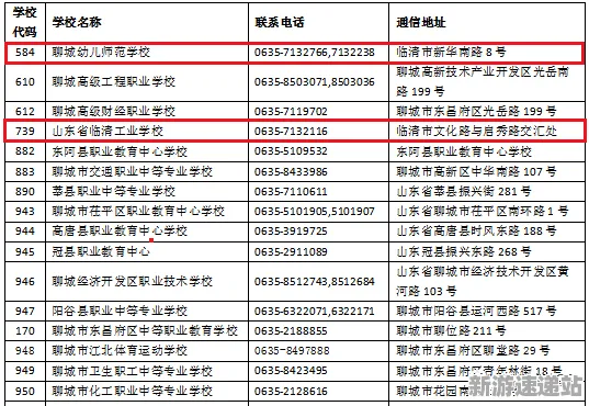 《双十一消消乐》2025版本更新！平衡性调整优化方案揭秘