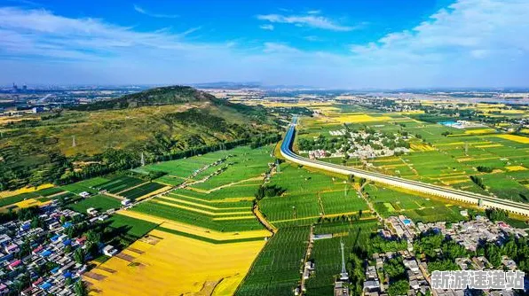 2025最新动态»蚂蚁森林配置需求公布，独家内幕消息速看！