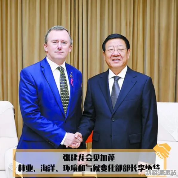 2025最新动态»蚂蚁森林配置需求公布，独家内幕消息速看！