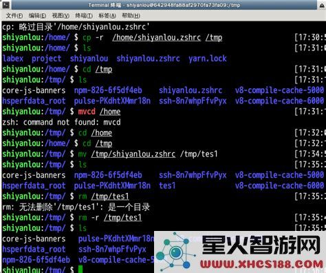 linux显示所有以s开头的命令_linux显示所有用户的进程命令