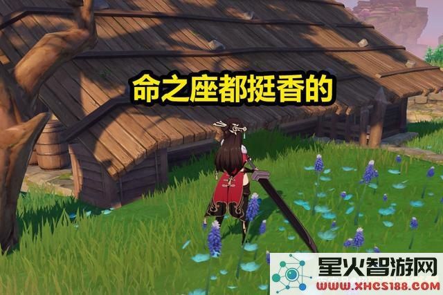 原神中反雷神特训最后一个过