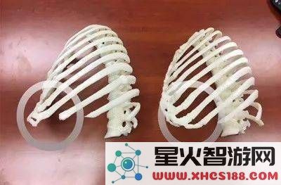 原神林中小书结尾有鬼图
