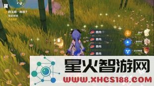 原神哪里野猪比较多