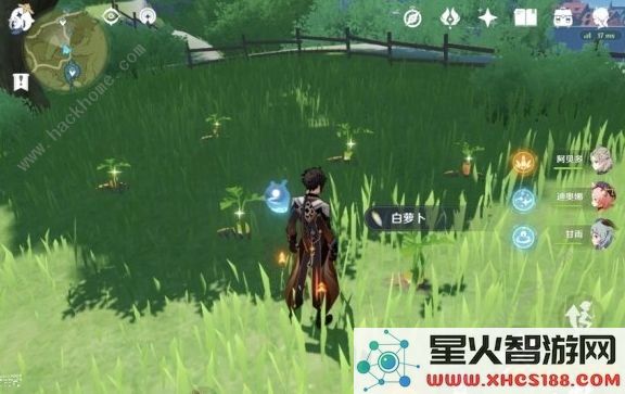 寻找白萝卜原神