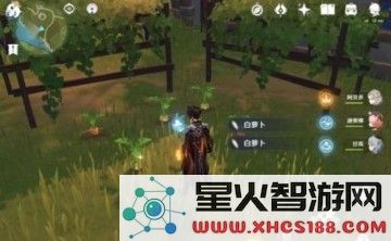 寻找白萝卜原神