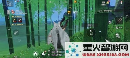 《妄想山海》竹子在哪