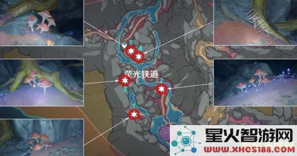 原神邪气水流的源头
