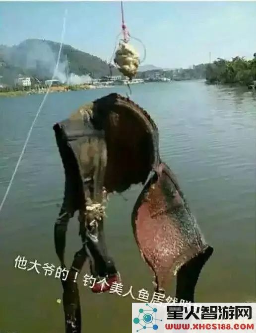 原神钓不到鱼