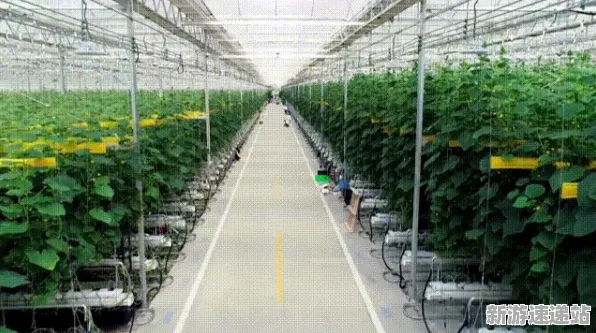 2025最新动态»农场小镇自然语言交互，独家内幕消息速看！