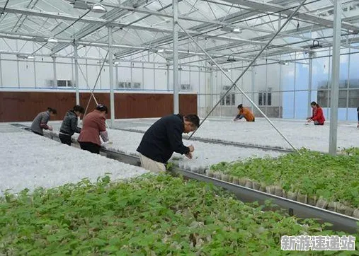 2025最新动态»农场小镇自然语言交互，独家内幕消息速看！