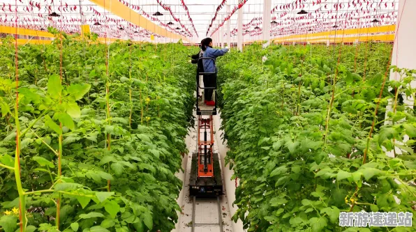 2025最新动态»农场小镇平衡性调整，独家内幕消息速看！