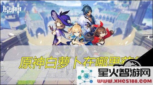 原神里哪里卖萝卜