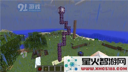 我的世界紫颂花有什么用 我的世界紫颂花获得攻略