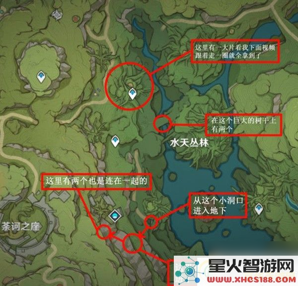 原神圣树王菇