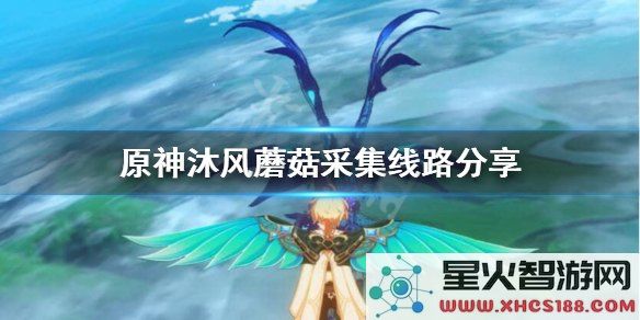 原神哪里有沐风蘑菇